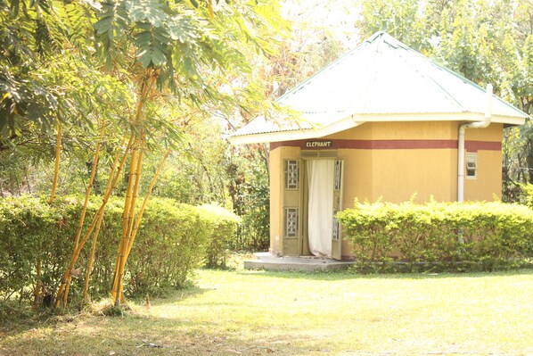 A small yellow building labeled "ELEPHANT" with a simple design, surrounded by greenery.