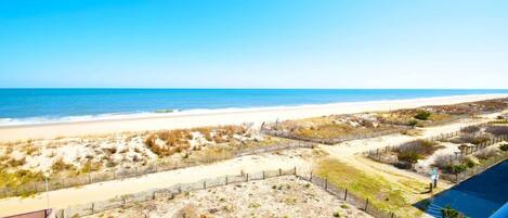 Condo, 1 Bedroom | Beach