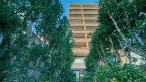 Un camino que lleva a un edificio con varios balcones, rodeado de abundante vegetación y plantas con flores.