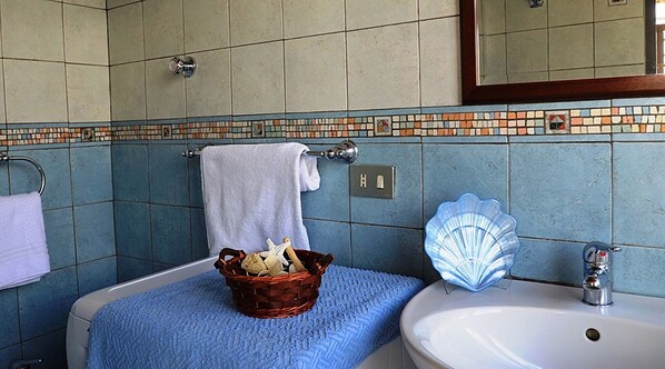 Shower, hair dryer, bidet, towels