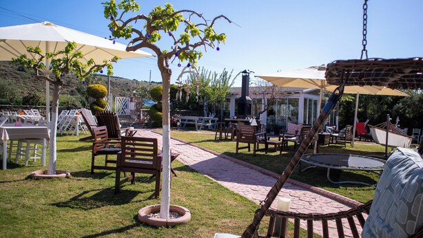 An outdoor patio area with seating arrangements, a swing chair, and a small tree. - CALİSTO 17 BUTİK OTEL (Bozcaada)