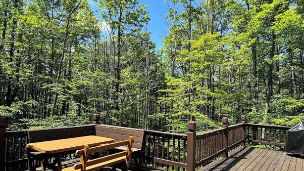 A wooden deck with a picnic table and benches, surrounded by a forest. - Lovely mountain home in a beautiful wooded setting. Welcome to Hart's Horn! (Davis)