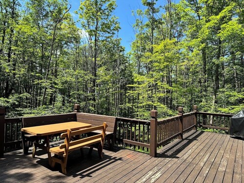 Lovely mountain home in a beautiful wooded setting. Welcome to Hart's Horn!