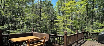 Lovely mountain home in a beautiful wooded setting. Welcome to Hart's Horn!