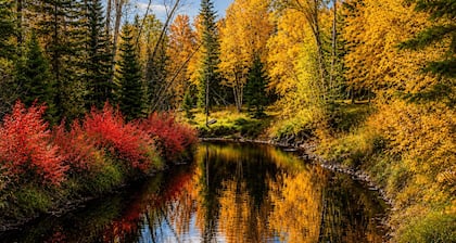 Private Riverfront Surrounded in Nature Near Lake of the Woods. Sleeps 10+