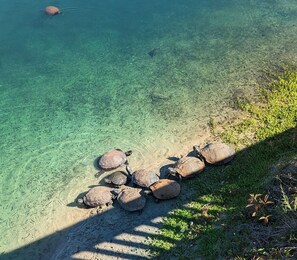 Am Strand