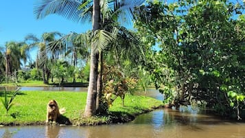 Jardín