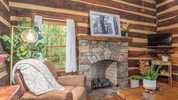 TV connectée, cheminée, lecteur de DVD