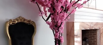 T-hotel 1, Antigua Guatemala