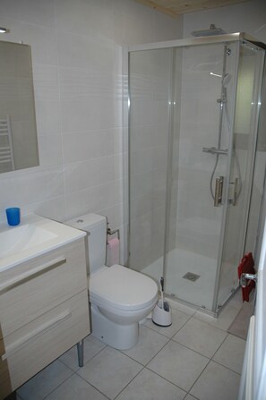 Regadera, secadora de cabello, jabón, papel de baño 