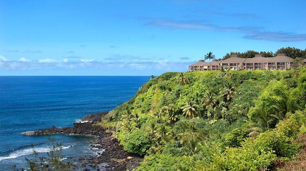 Un hotel con vistas al océano y vegetación exuberante.