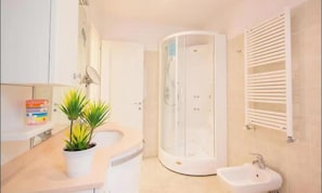 Hair dryer, bidet, towels, soap