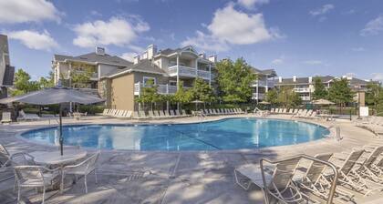 Wine Country - Sonoma County