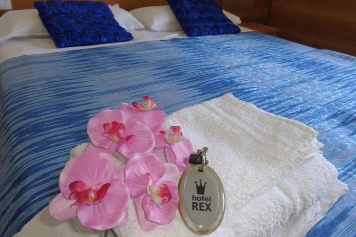 Classic Double or Twin Room | Hypo-allergenic bedding available, in-room safe, desk, WiFi (free)
