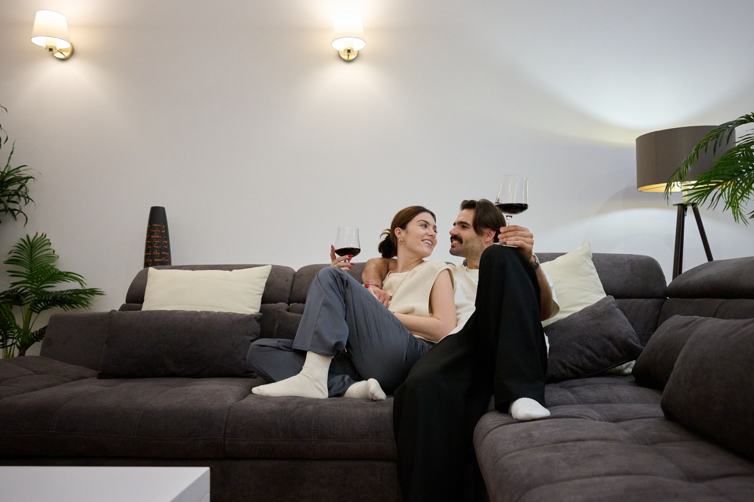 A modern living room with a grey sofa, a floor lamp, and a potted plant.