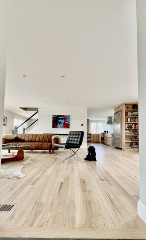 TV connectée, cheminée, jeux vidéo, lecteur de DVD