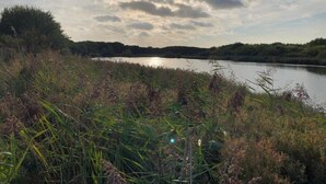 Un paysage naturel avec un lac, entouré de prairies et d’arbres.