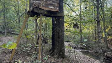 A rustic wooden structure built into a tree in a forested area.