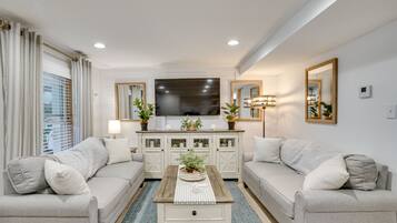 TV, fireplace, books