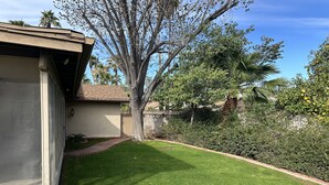 A residential backyard with a well-maintained lawn, a wooden deck, and a large tree.