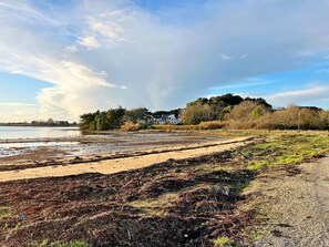 Beach - Fleur D'ajonc - Locoal Mendon (LOCOAL MENDON)