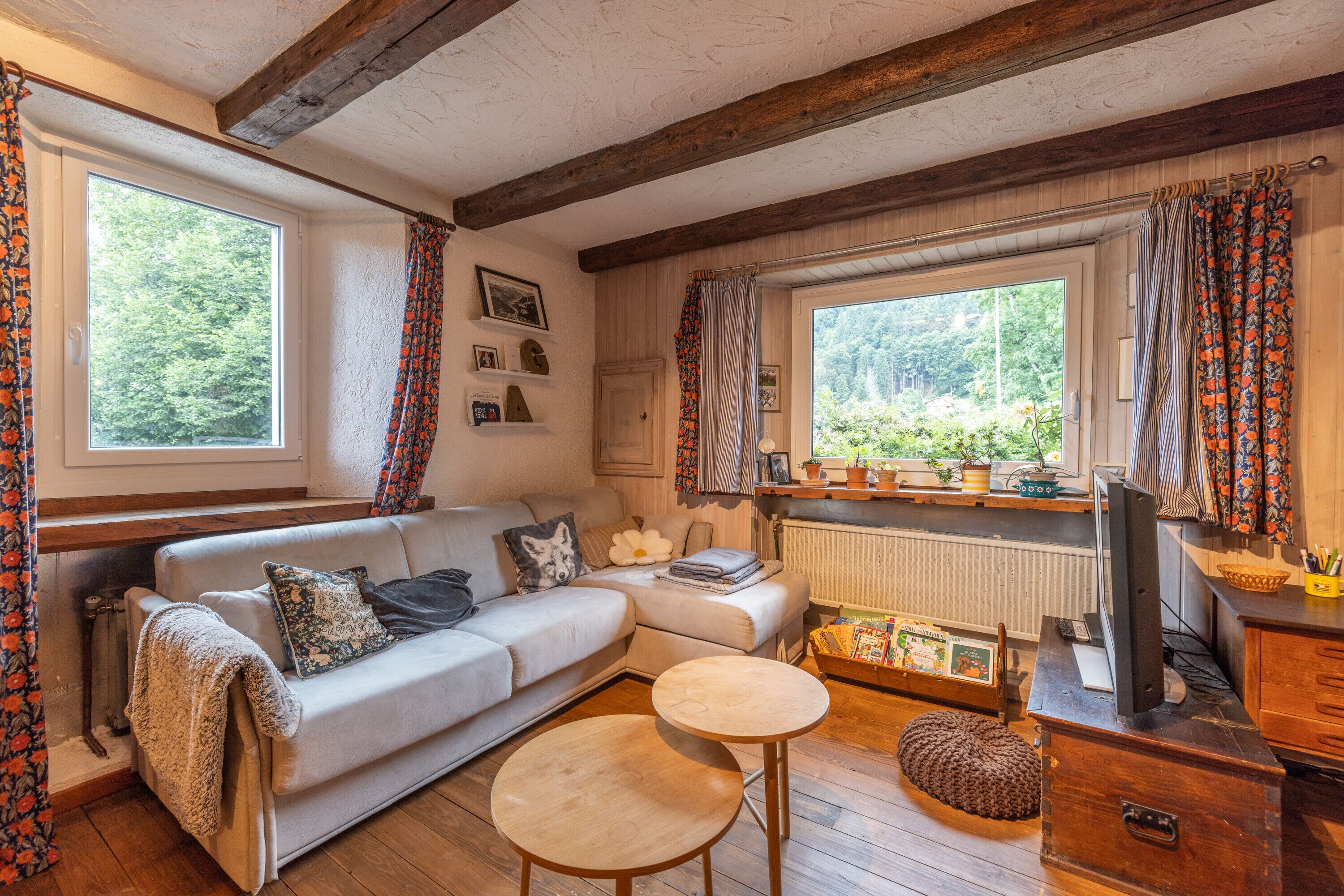 Televisión y chimenea 