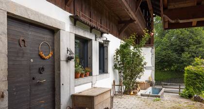 Chalet "Magnifique Aux Carroz" avec vue sur la montagne, terrasse privée et Wi-Fi