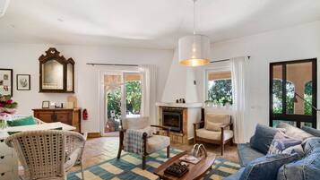 Een televisie, een open haard, videogames en een dvd-speler