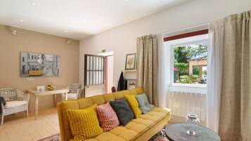 TV, fireplace, video games, DVD player