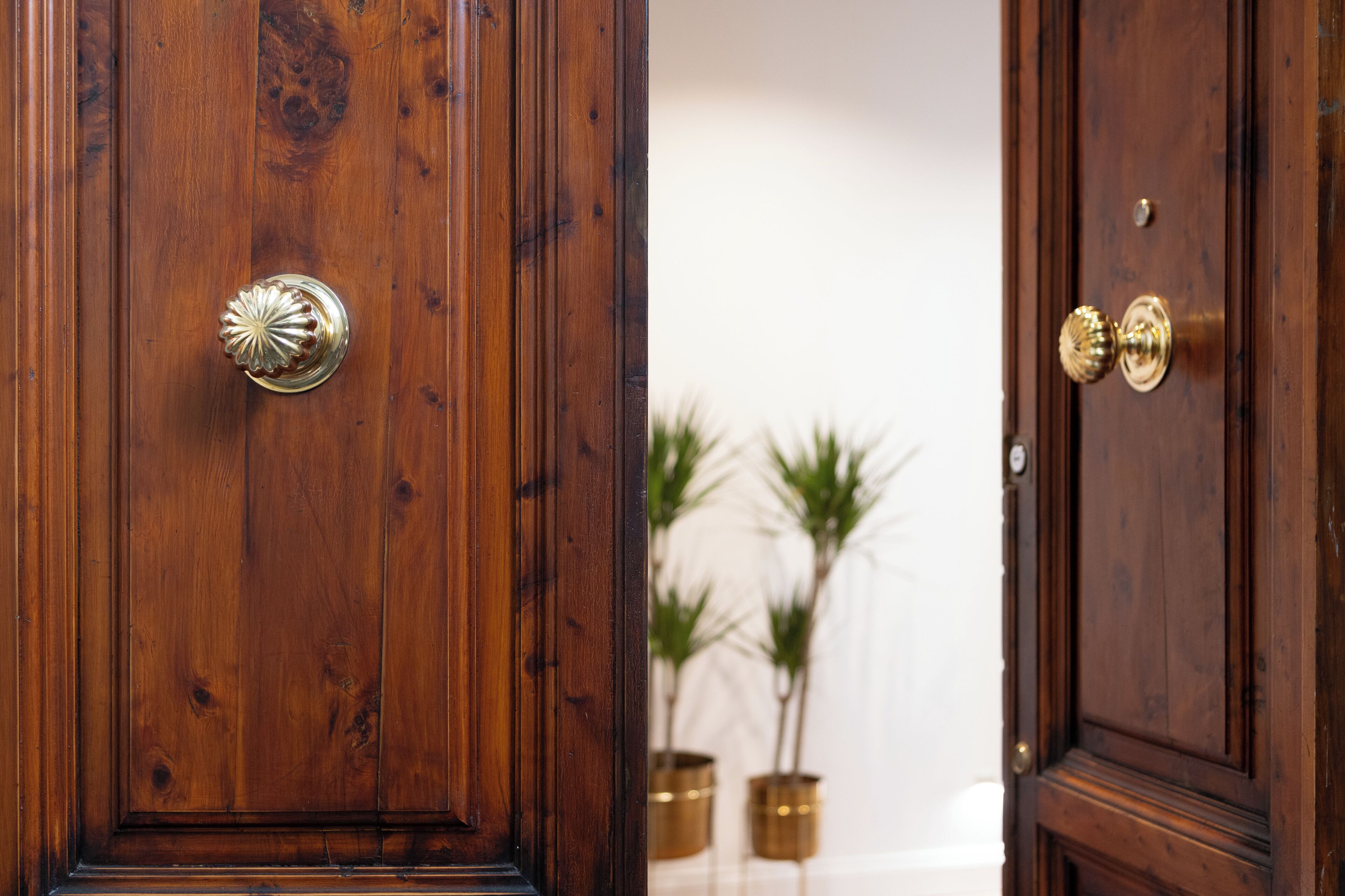 A wooden door with a brass handle and a brass lock.