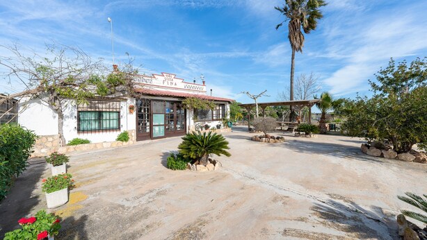 A building with a sign reading '1895 VIEJA FLIN,' surrounded by a garden with various plants and a palm tree.