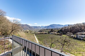 Un vignoble avec des rangées de vignes, un ciel dégagé et des montagnes à l’horizon.