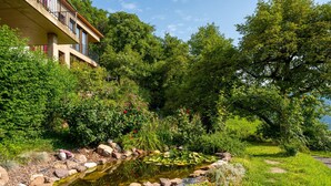 Een tuin met een vijver, rotsen en diverse planten.