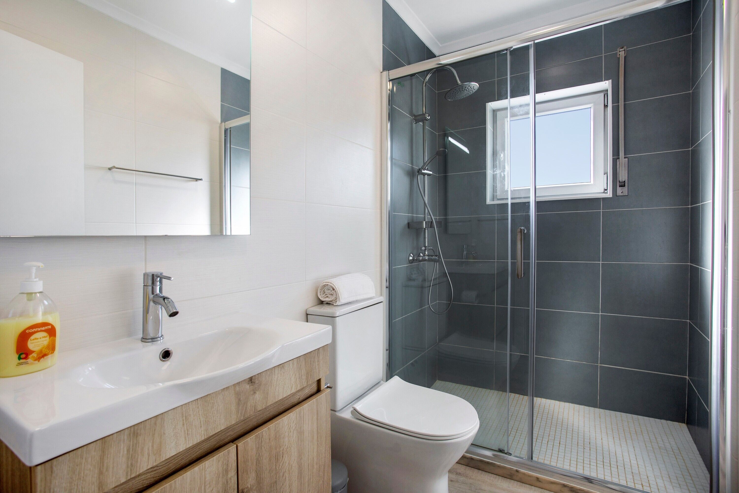 Shower, hair dryer, towels