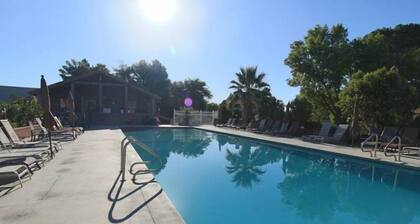 Rim Runner | Near Mountain Biking | 1 Bed/1 Bath | Pet Friendly Condo