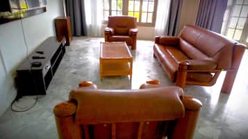 Executive Penthouse | Living area | 55-inch flat-screen TV with cable channels, DVD player
