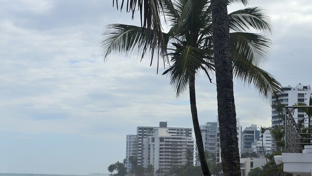 A beach with umbrellas and palm trees, a beach chair area, and a view of the ocean and buildings in the background. - Condado Oasis on Ashford Ave: Oceanview and Pool (San Juan)