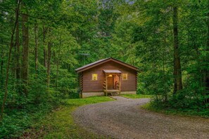 Exterior - Sunset Ridge Cabin | 200 Acres, Pets, Hot Tub (South Bloomingville)