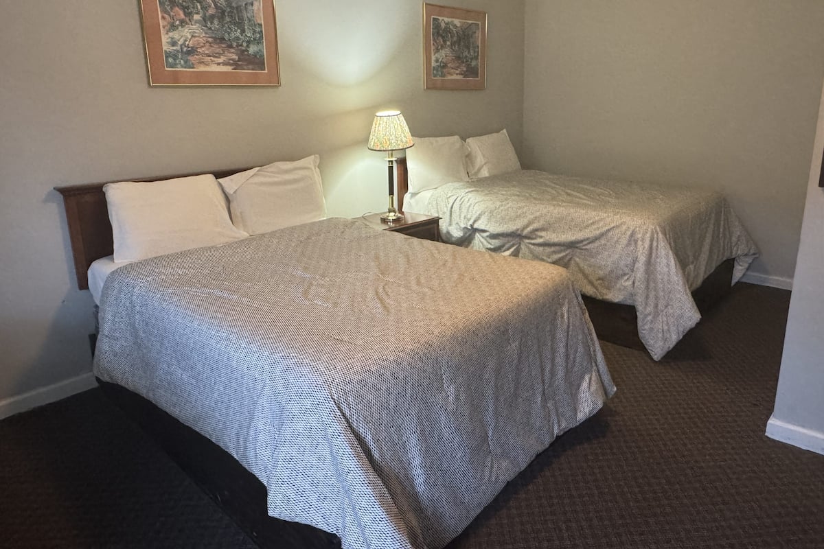 Habitación de hotel con dos camas, una mesita de noche, una lámpara y dos cuadros en la pared.