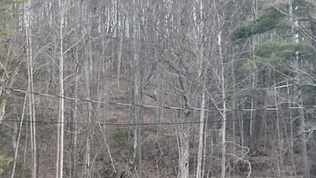 Hiking