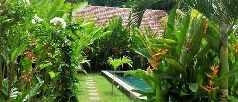 Alberca al aire libre