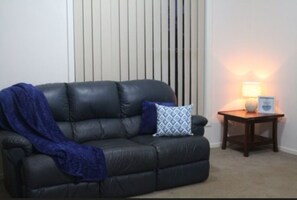 Smart-TV, Kamin