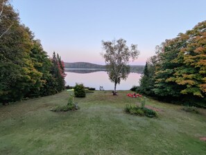 Área da propriedade