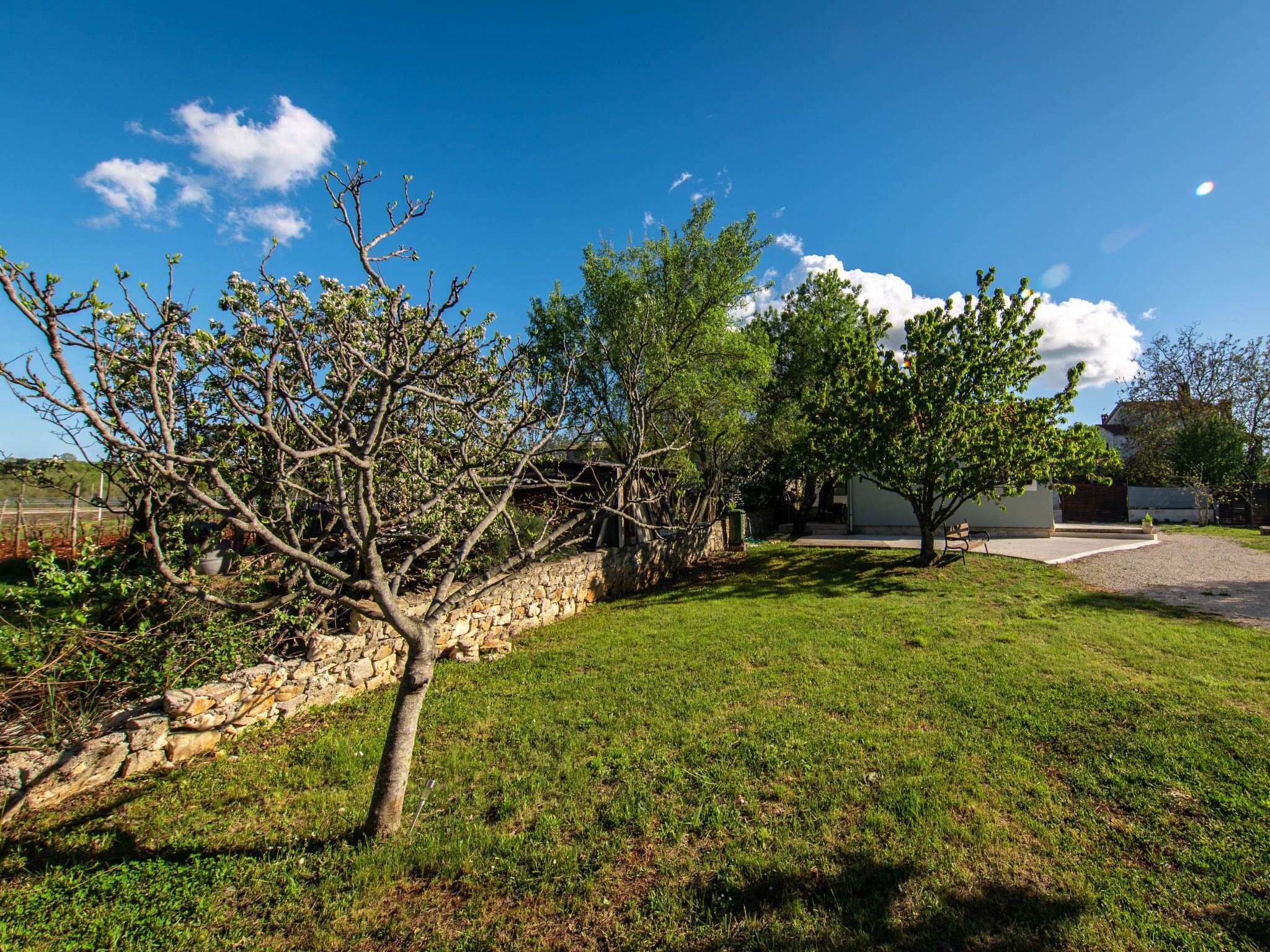 Une cour verdoyante avec un mur de pierre et des arbres.