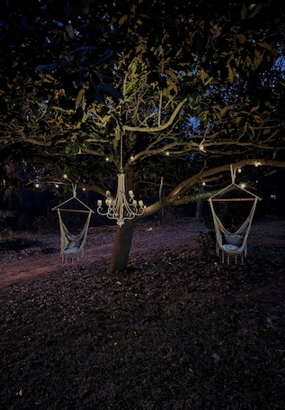 Property grounds. A full glamping experience that lets you escape & enjoy the serenity of nature.