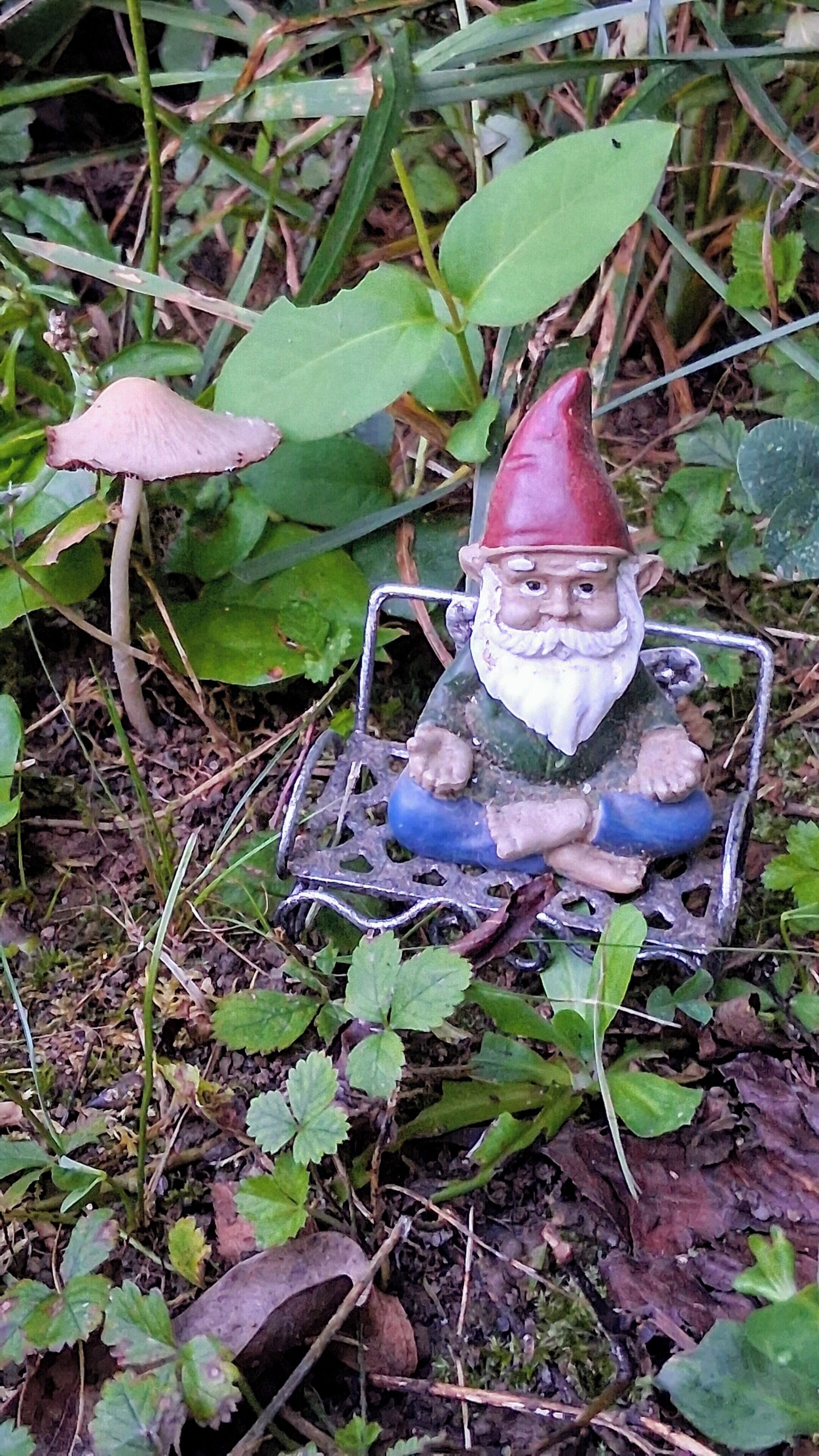 A garden gnome in a metal cart among foliage.