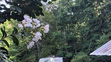 Terrain de l’hébergement