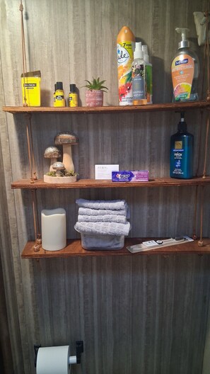 Hair dryer, towels, soap, shampoo