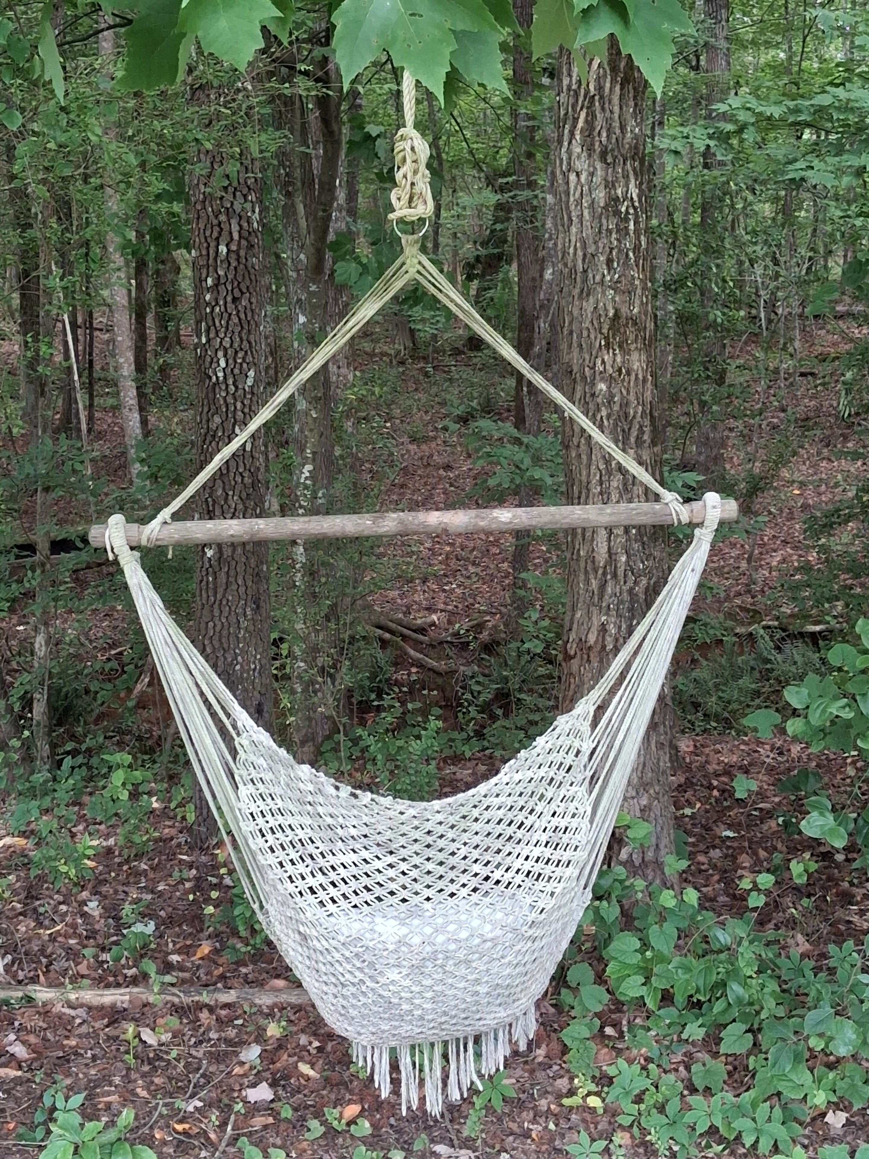 A white hammock suspended between trees in a forest.