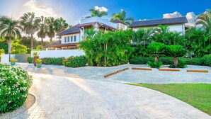 A pathway leading to a building surrounded by lush greenery and palm trees.